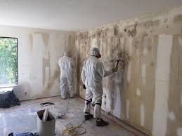 Biohazard Mold Removal in Cowpens, SC